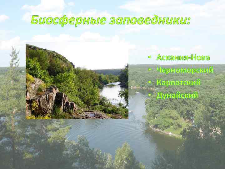 Биосферные заповедники: • • Аскания-Нова Черноморский Карпатский Дунайский 