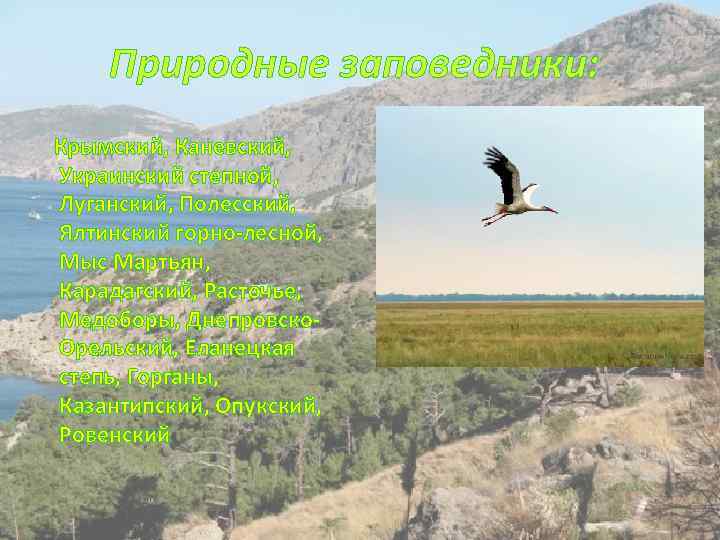 Природные заповедники: Крымский, Каневский, Украинский степной, Луганский, Полесский, Ялтинский горно-лесной, Мыс Мартьян, Карадагский, Расточье,