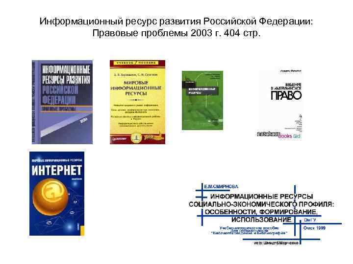 Информационный ресурс развития Российской Федерации: Правовые проблемы 2003 г. 404 стр. 