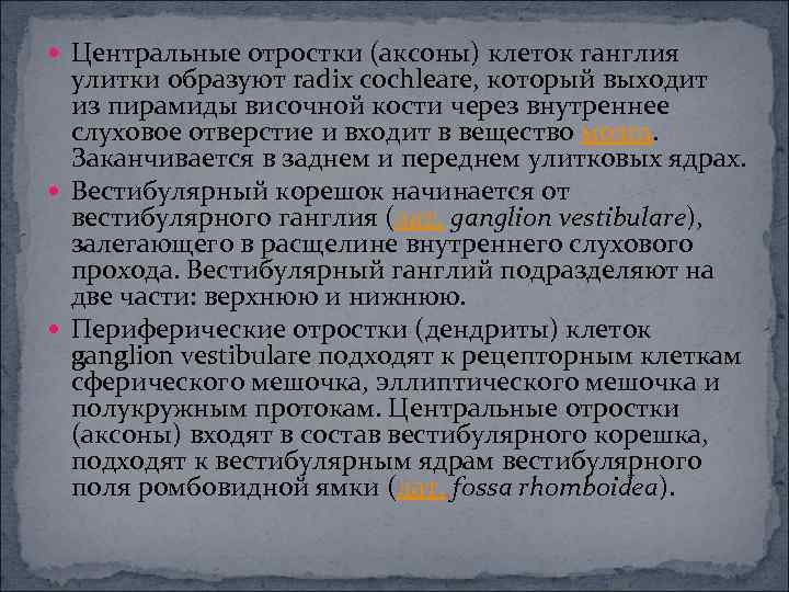  Центральные отростки (аксоны) клеток ганглия улитки образуют radix cochleare, который выходит из пирамиды