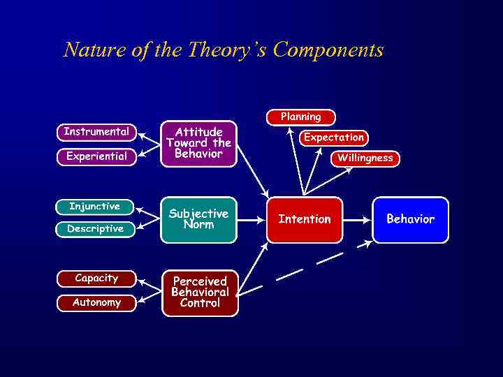 Nature of the Theory’s Components 