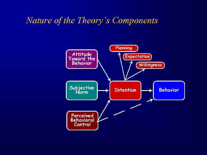 Nature of the Theory’s Components 