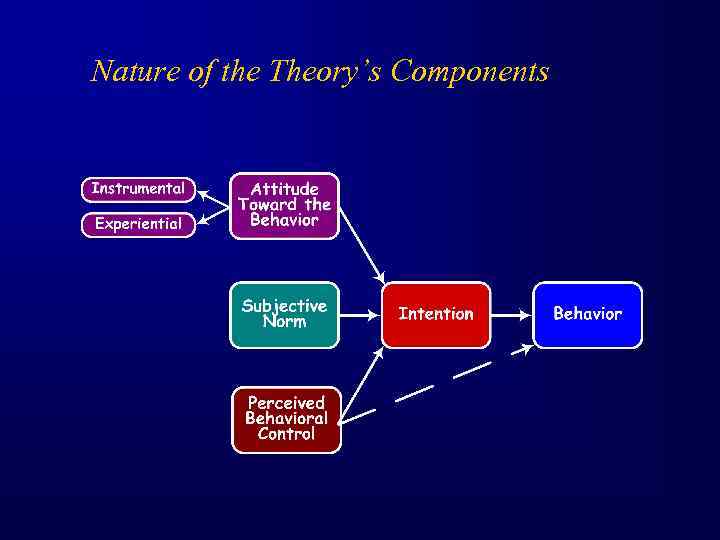 Nature of the Theory’s Components 