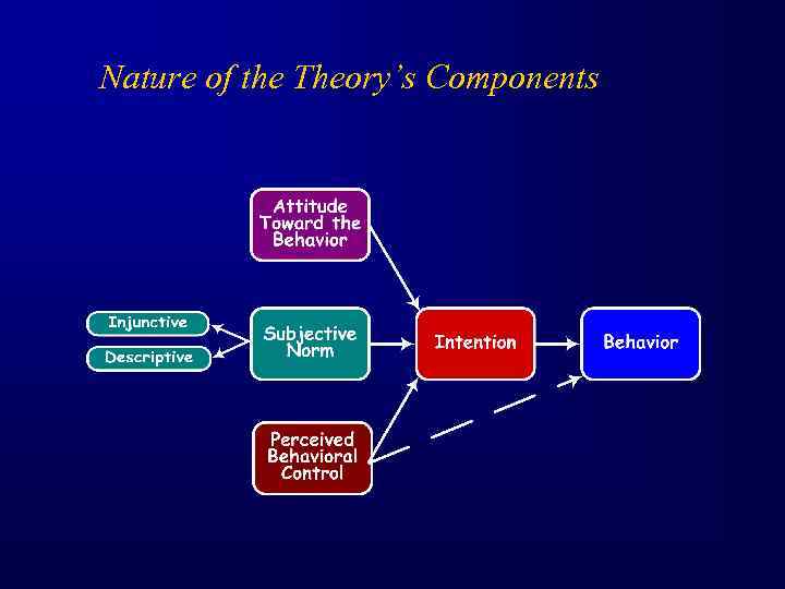 Nature of the Theory’s Components 