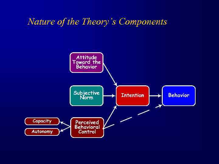 Nature of the Theory’s Components 