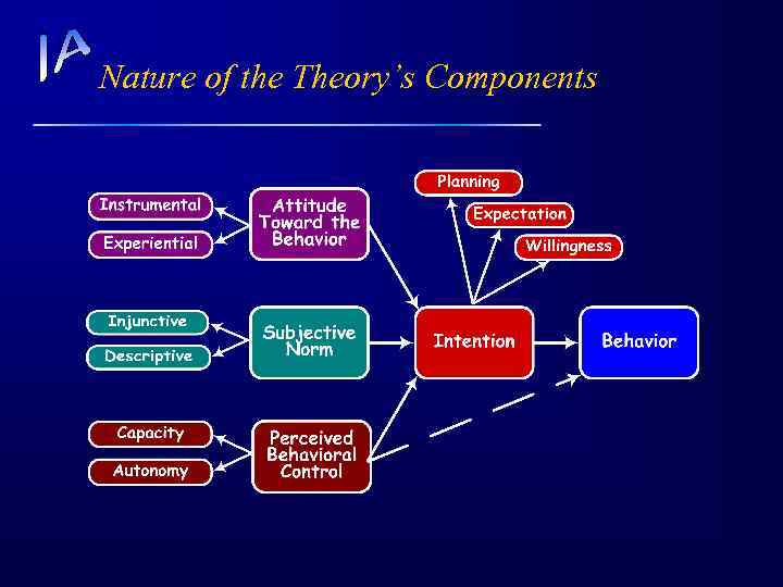 Nature of the Theory’s Components 