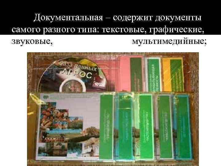 Документальная – содержит документы самого разного типа: текстовые, графические, звуковые, мультимедийные; 