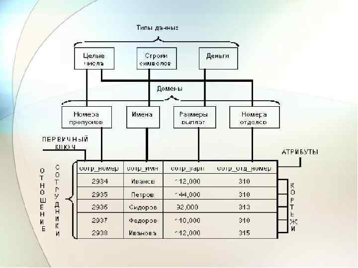 Реляционная – база данных с табличной организацией данных. 