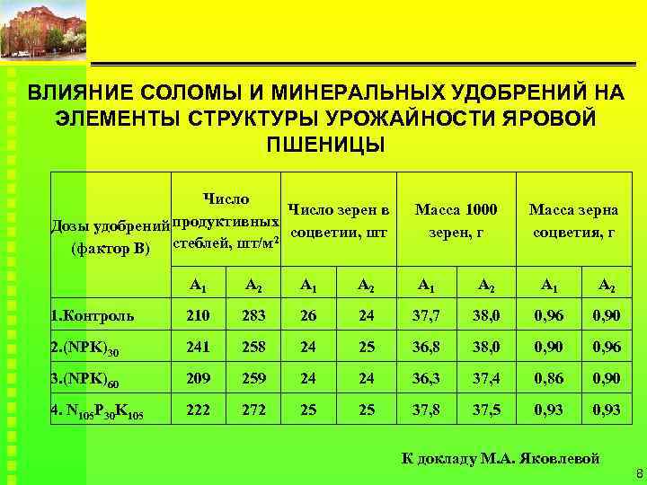 ВЛИЯНИЕ СОЛОМЫ И МИНЕРАЛЬНЫХ УДОБРЕНИЙ НА ЭЛЕМЕНТЫ СТРУКТУРЫ УРОЖАЙНОСТИ ЯРОВОЙ ПШЕНИЦЫ Число зерен в