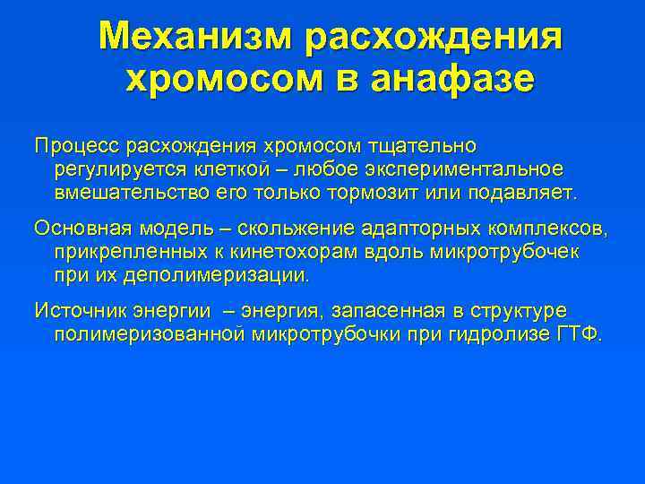 Механизм расхождения хромосом в анафазе Процесс расхождения хромосом тщательно регулируется клеткой – любое экспериментальное