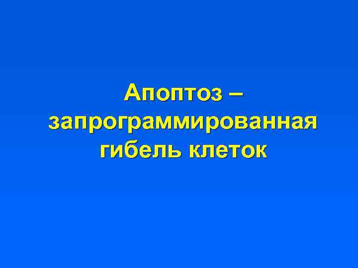 Апоптоз – запрограммированная гибель клеток 