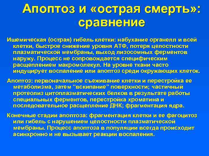 Апоптоз и «острая смерть» : сравнение Ишемическая (острая) гибель клетки: набухание органелл и всей
