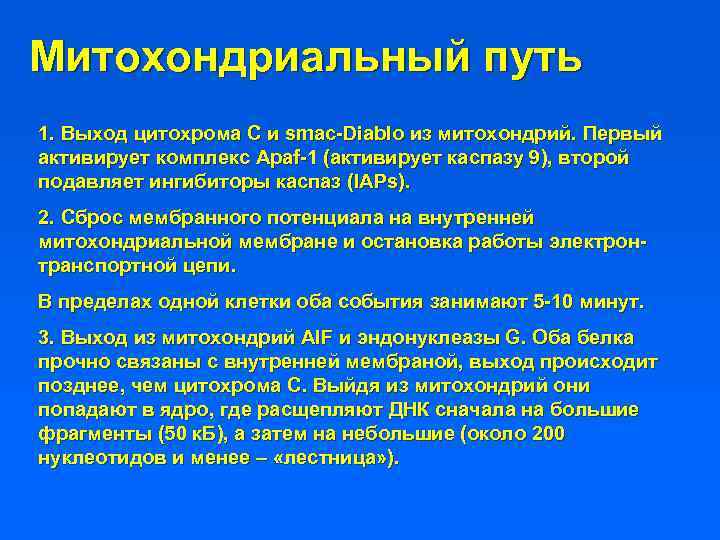 Митохондриальный путь 1. Выход цитохрома С и smac-Diablo из митохондрий. Первый активирует комплекс Apaf-1