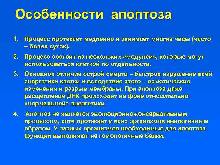 Особенности апоптоза 1. Процесс протекает медленно и занимает многие часы (часто – более суток).