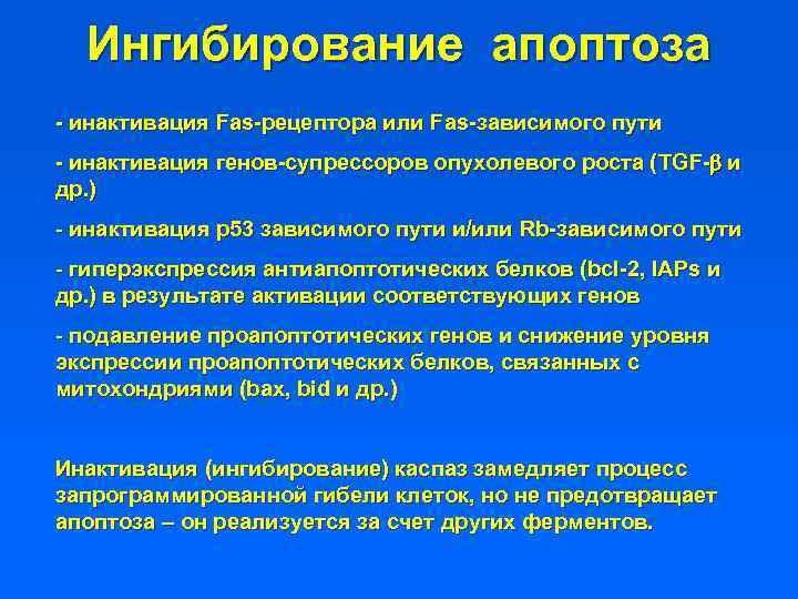 Ингибирование апоптоза - инактивация Fas-рецептора или Fas-зависимого пути - инактивация генов-супрессоров опухолевого роста (TGF-b
