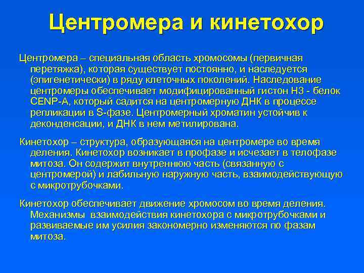 Центромера и кинетохор Центромера – специальная область хромосомы (первичная перетяжка), которая существует постоянно, и