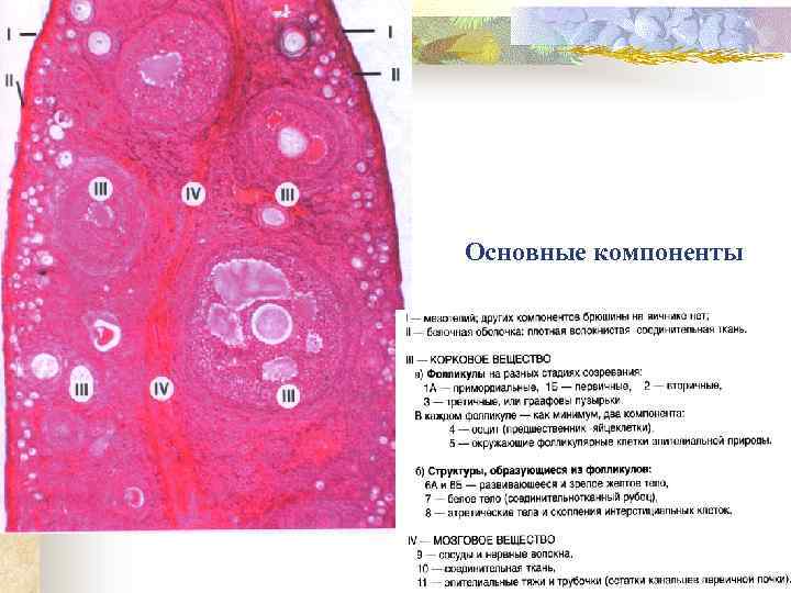 Основные компоненты 