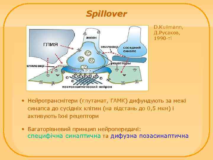 Spillover D. Kullmann, Д. Русаков, 1990 -ті • Нейротрансмітери (глутамат, ГАМК) дифундують за межі