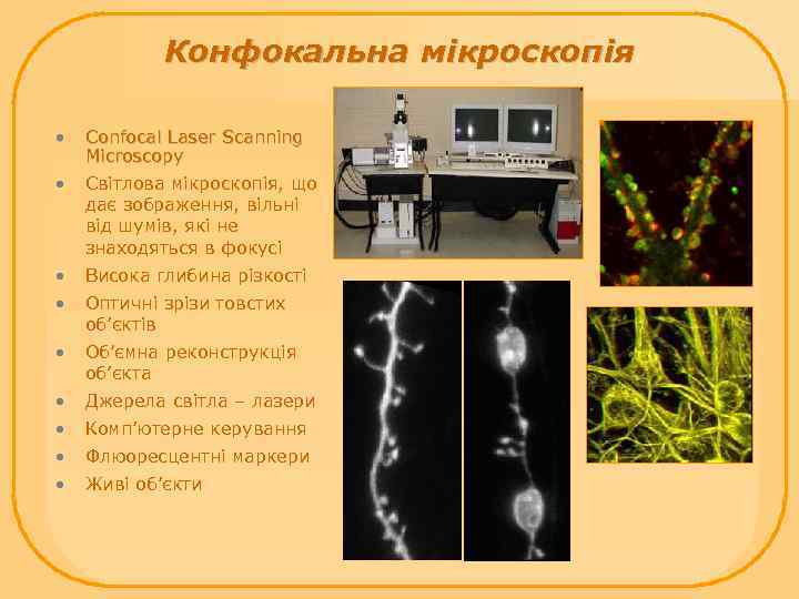 Конфокальна мікроскопія • • Confocal Laser Scanning Microscopy Світлова мікроскопія, що дає зображення, вільні