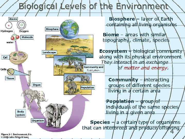 Biological Levels of the Environment Biosphere – layer of Earth containing all living organisms