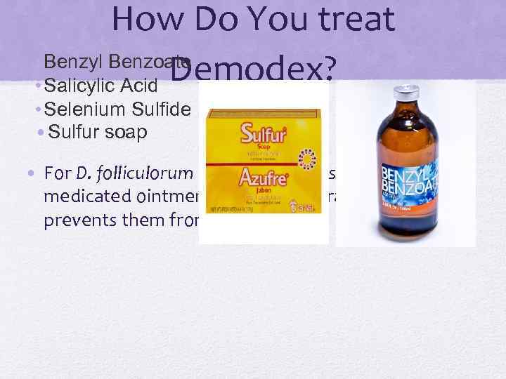 How Do You treat • Benzyl Benzoate Demodex? • Salicylic Acid • Selenium Sulfide