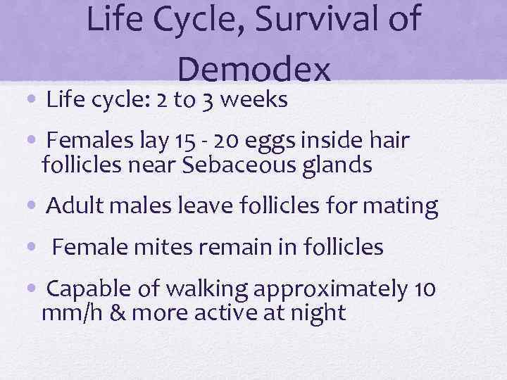 Life Cycle, Survival of Demodex • Life cycle: 2 to 3 weeks • Females