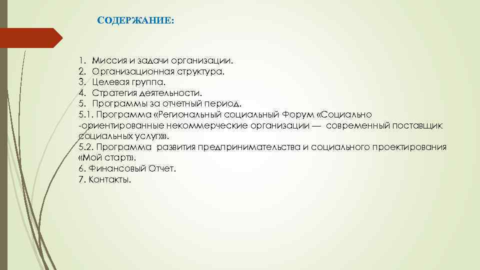 СОДЕРЖАНИЕ: 1. Миссия и задачи организации. 2. Организационная структура. 3. Целевая группа. 4. Стратегия