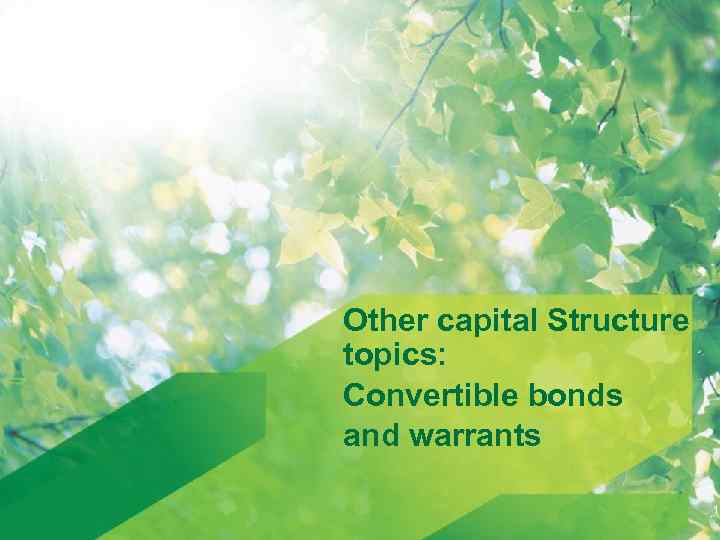 Other capital Structure topics: Convertible bonds and warrants 1 