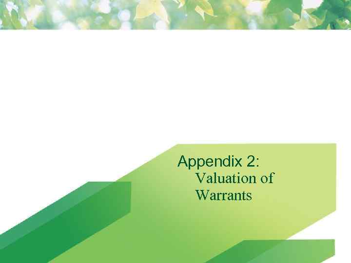 Appendix 2: Valuation of Warrants 99 