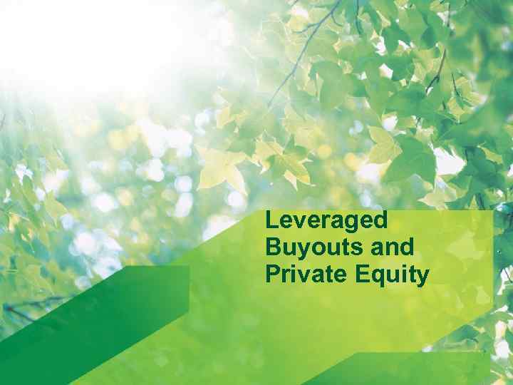 Leveraged Buyouts and Private Equity 