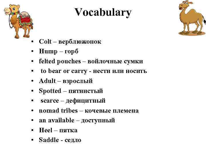 Vocabulary • • • Colt – верблюжонок Hump – горб felted pouches – войлочные