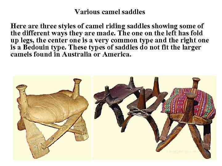 Various camel saddles Here are three styles of camel riding saddles showing some of