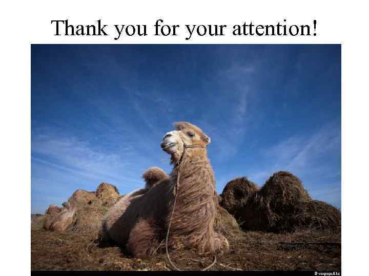 Thank you for your attention! 