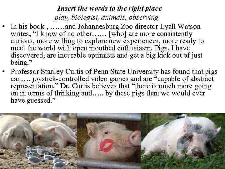 Insert the words to the right place play, biologist, animals, observing • In his