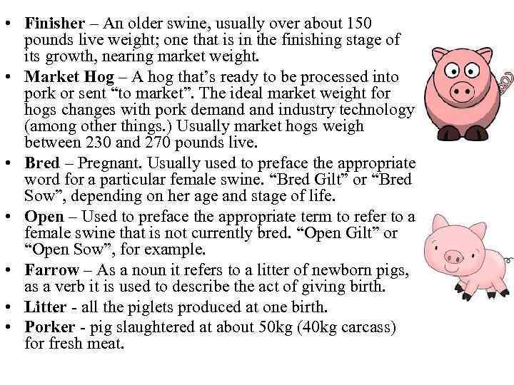  • Finisher – An older swine, usually over about 150 pounds live weight;