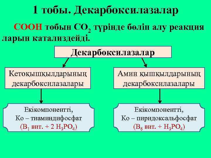 1 тобы. Декарбоксилазалар СООН тобын СО 2 түрінде бөліп алу реакция ларын катализдейді. Декарбоксилазалар
