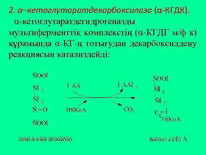 2. α–кетоглутаратдекарбоксилаза (α-КГДК). α-кетоглутаратдегидрогеназды мультиферменттік комплекстің (α-КГДГ м/ф к) құрамында α-КГ-ң тотығудан декарбоксилдену реакциясын