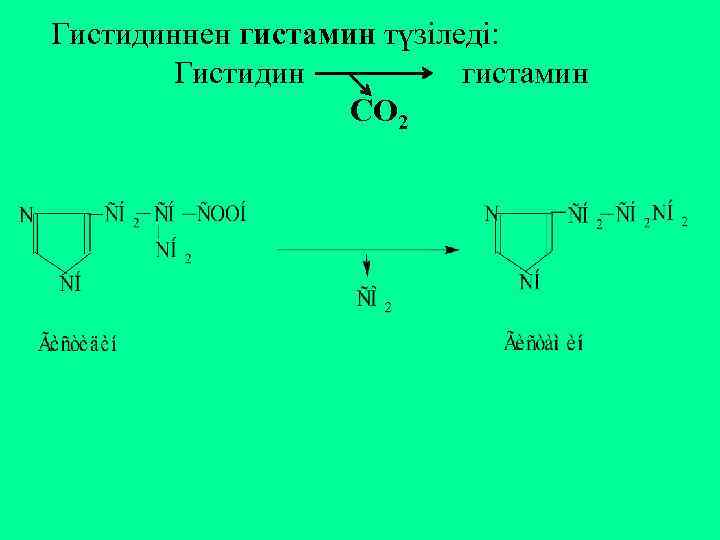 Гистидиннен гистамин түзіледі: Гистидин гистамин СО 2 