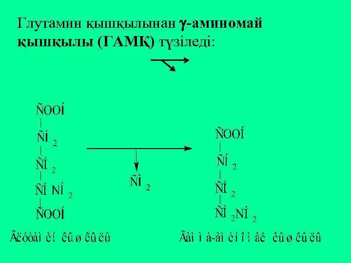 Глутамин қышқылынан -аминомай қышқылы (ГАМҚ) түзіледі: 