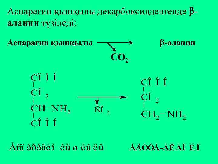 Аспарагин қышқылы декарбоксилденгенде аланин түзіледі: -аланин Аспарагин қышқылы СО 2 