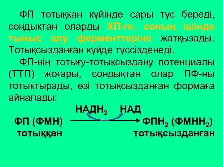 ФП тотыққан күйінде сары түс береді, сондықтан оларды ХП-ге, соның ішінде тыныс алу ферменттеріне