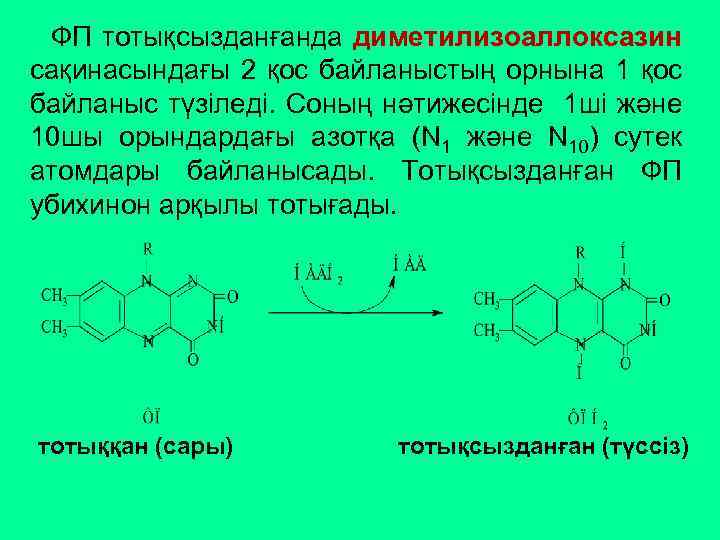 ФП тотықсызданғанда диметилизоаллоксазин сақинасындағы 2 қос байланыстың орнына 1 қос байланыс түзіледі. Соның нәтижесінде