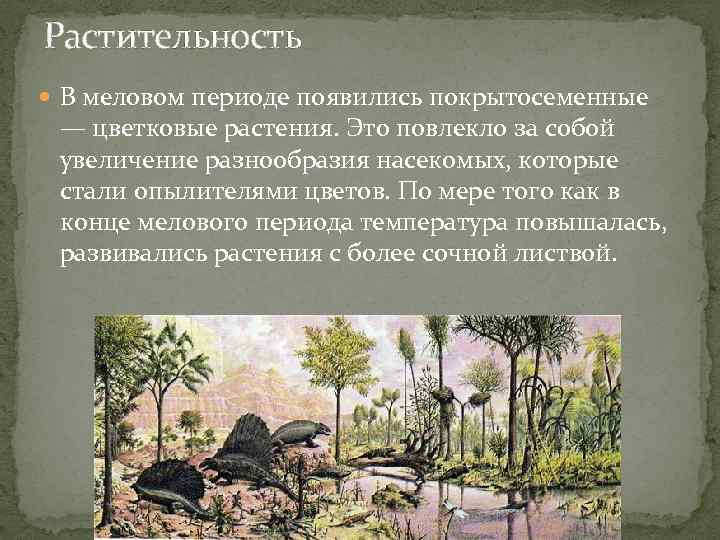 Растительность В меловом периоде появились покрытосеменные — цветковые растения. Это повлекло за собой увеличение