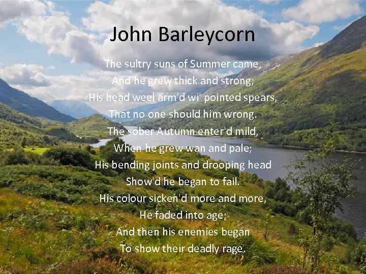 John Barleycorn The sultry suns of Summer came, And he grew thick and strong;