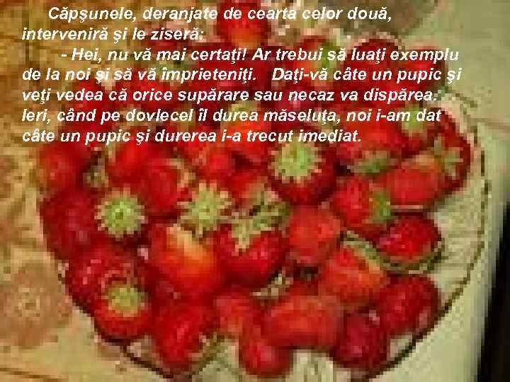 Căpşunele, deranjate de cearta celor două, interveniră şi le ziseră: - Hei, nu vă