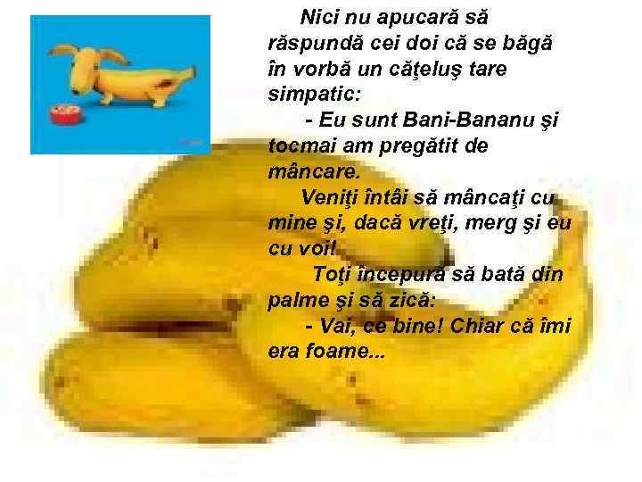 Nici nu apucară să răspundă cei doi că se băgă în vorbă un căţeluş