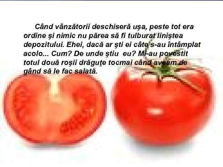 Când vânzătorii deschiseră uşa, peste tot era ordine şi nimic nu părea să fi