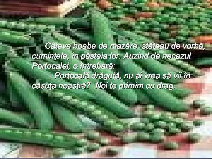 Câteva boabe de mazăre stăteau de vorbă, cuminţele, în păstaia lor. Auzind de necazul