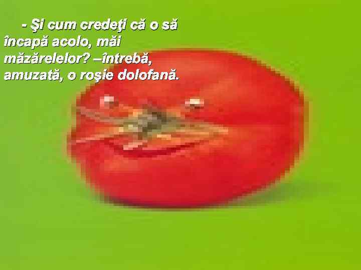 - Şi cum credeţi că o să încapă acolo, măi măzărelelor? –întrebă, amuzată, o