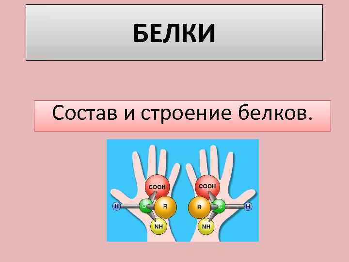 БЕЛКИ Состав и строение белков. 